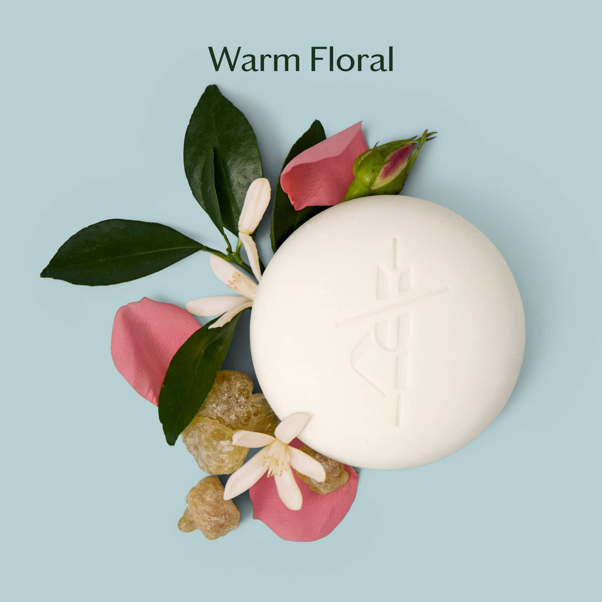 Kate McLeod Daily Stone Lotion Bar