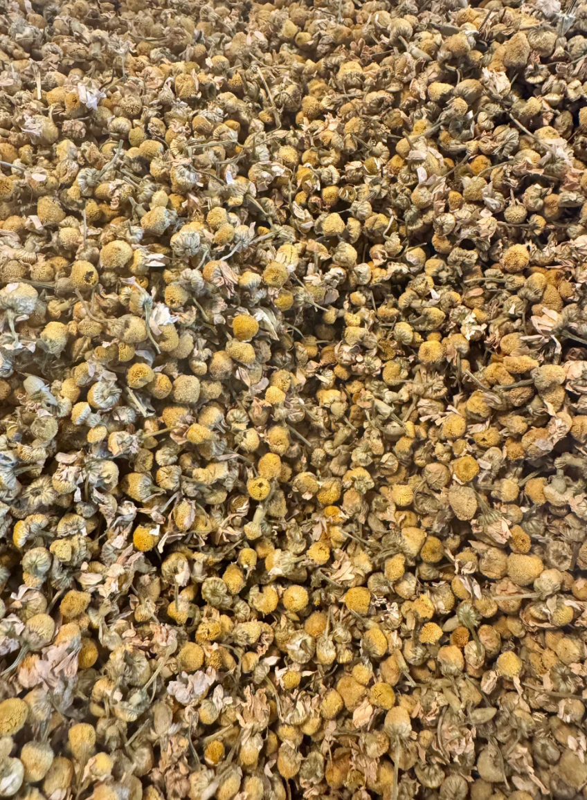 The Quiet Botanist Chamomile Tea