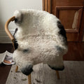 Black Sheep/White Light Sheepskin