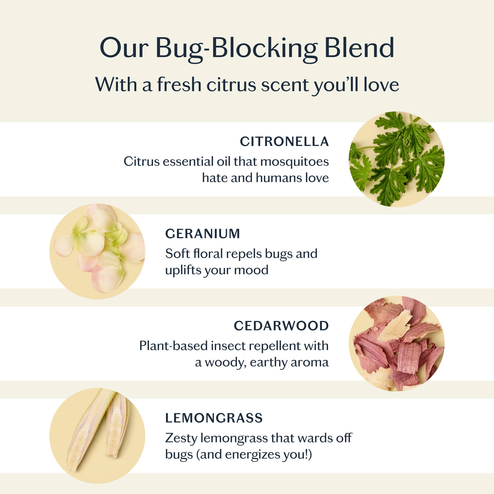 Kate McLeod Bug Balm | All-Natural Insect Repellent