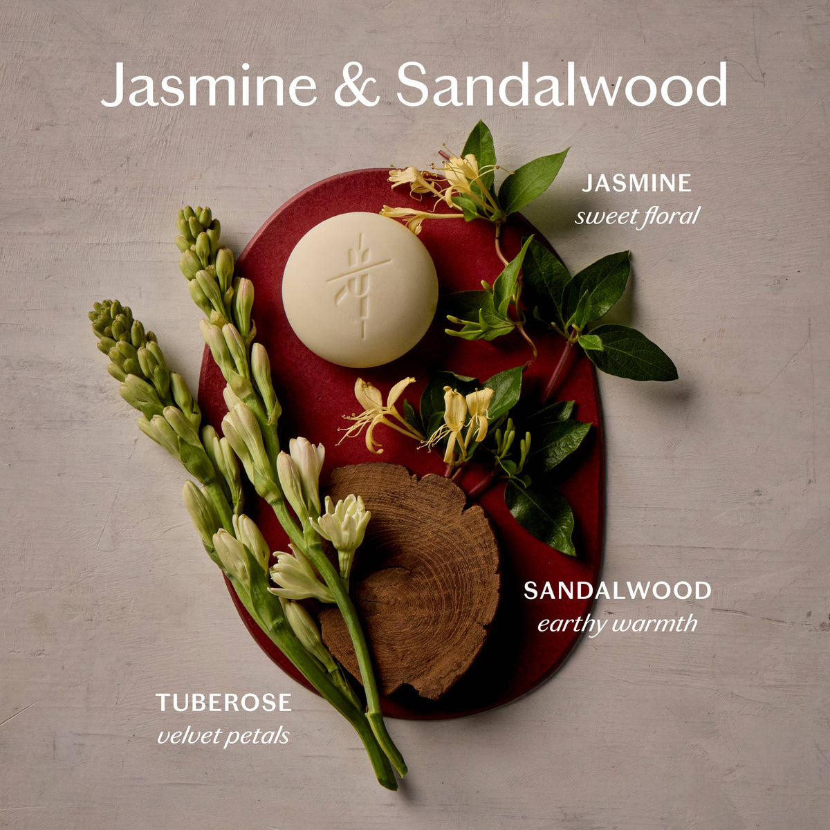 Kate McLeod Jasmine & Sandalwood Lotion Bar