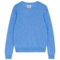 Jumper1234 Distressed Crew