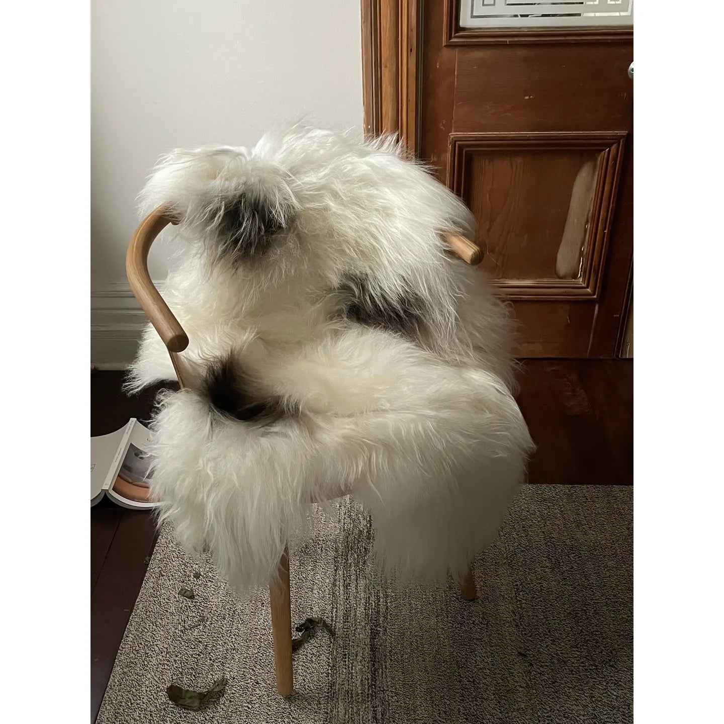 Black Sheep/White Light Sheepskin