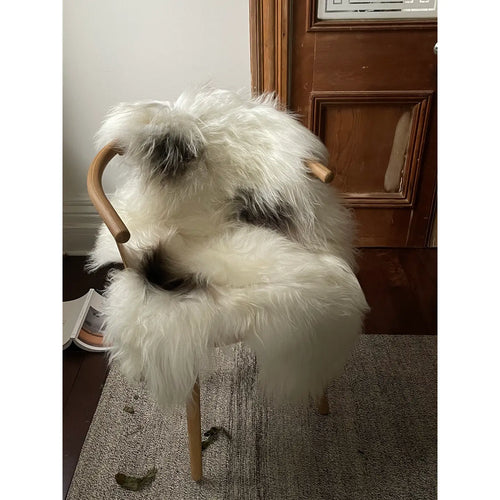 Black Sheep/White Light Sheepskin