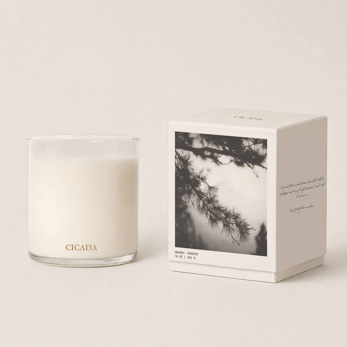 Cicada Large Conifer Candle