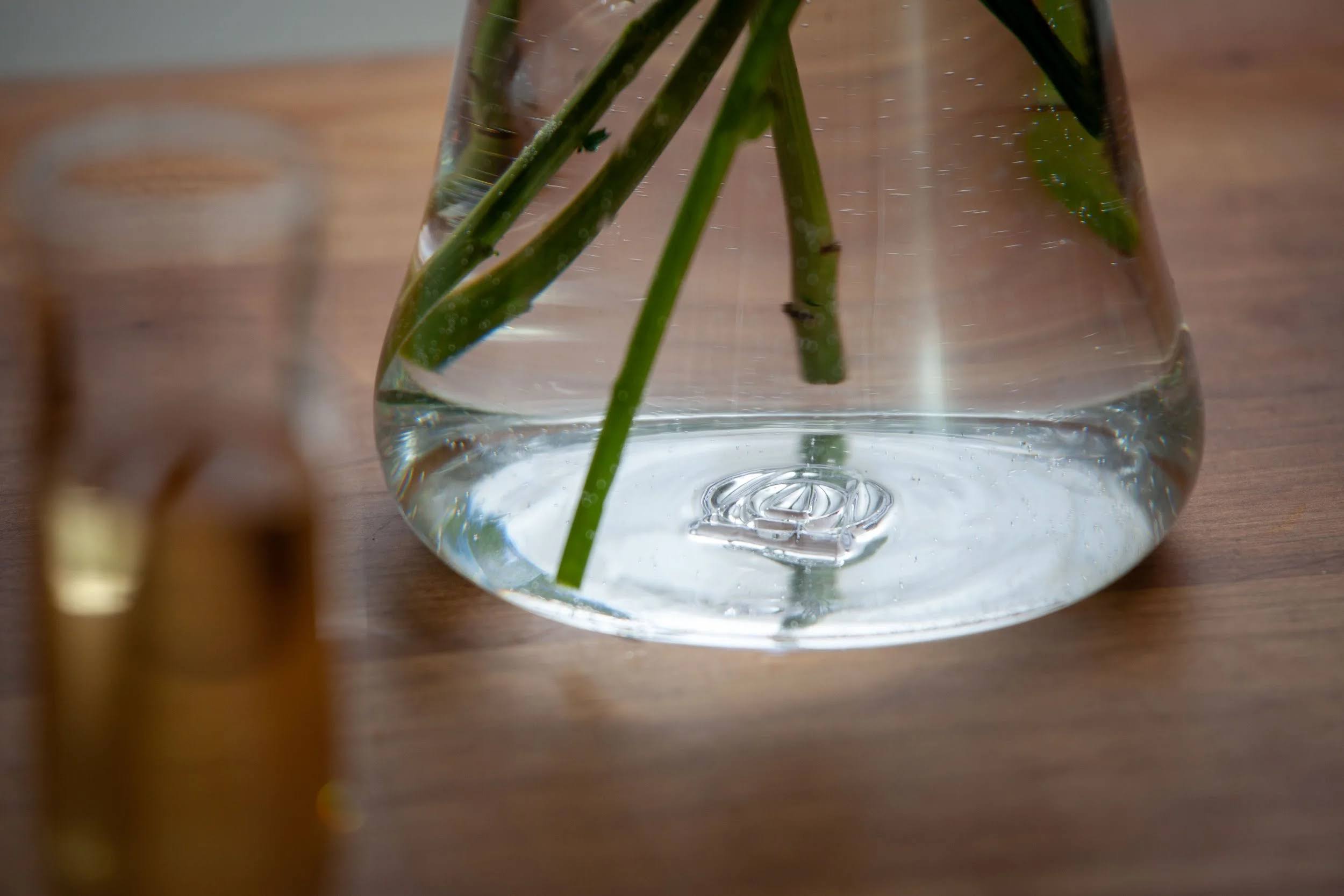 AO Glass Bloom Tote Vase