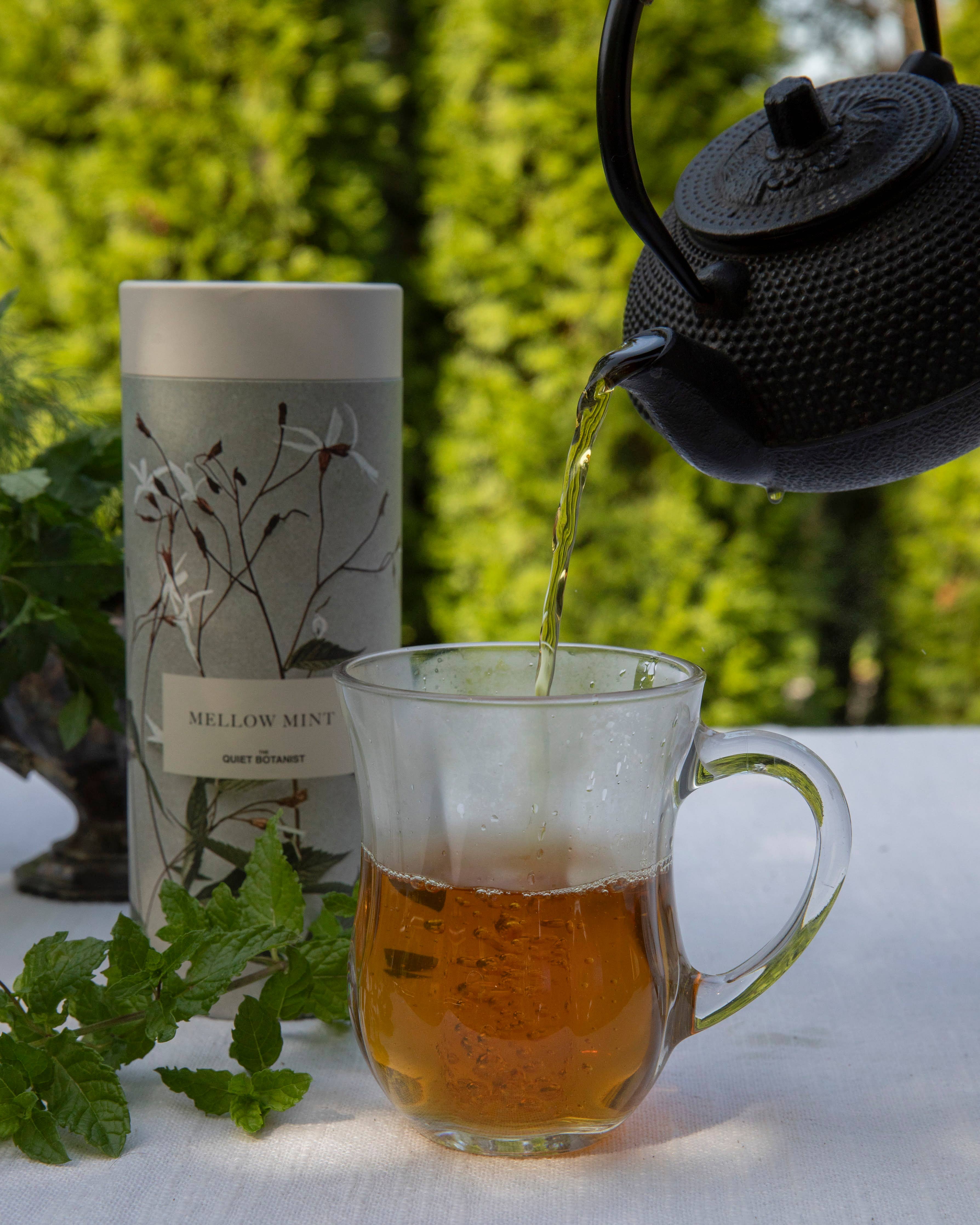The Quiet Botanist Mellow Mint Tea