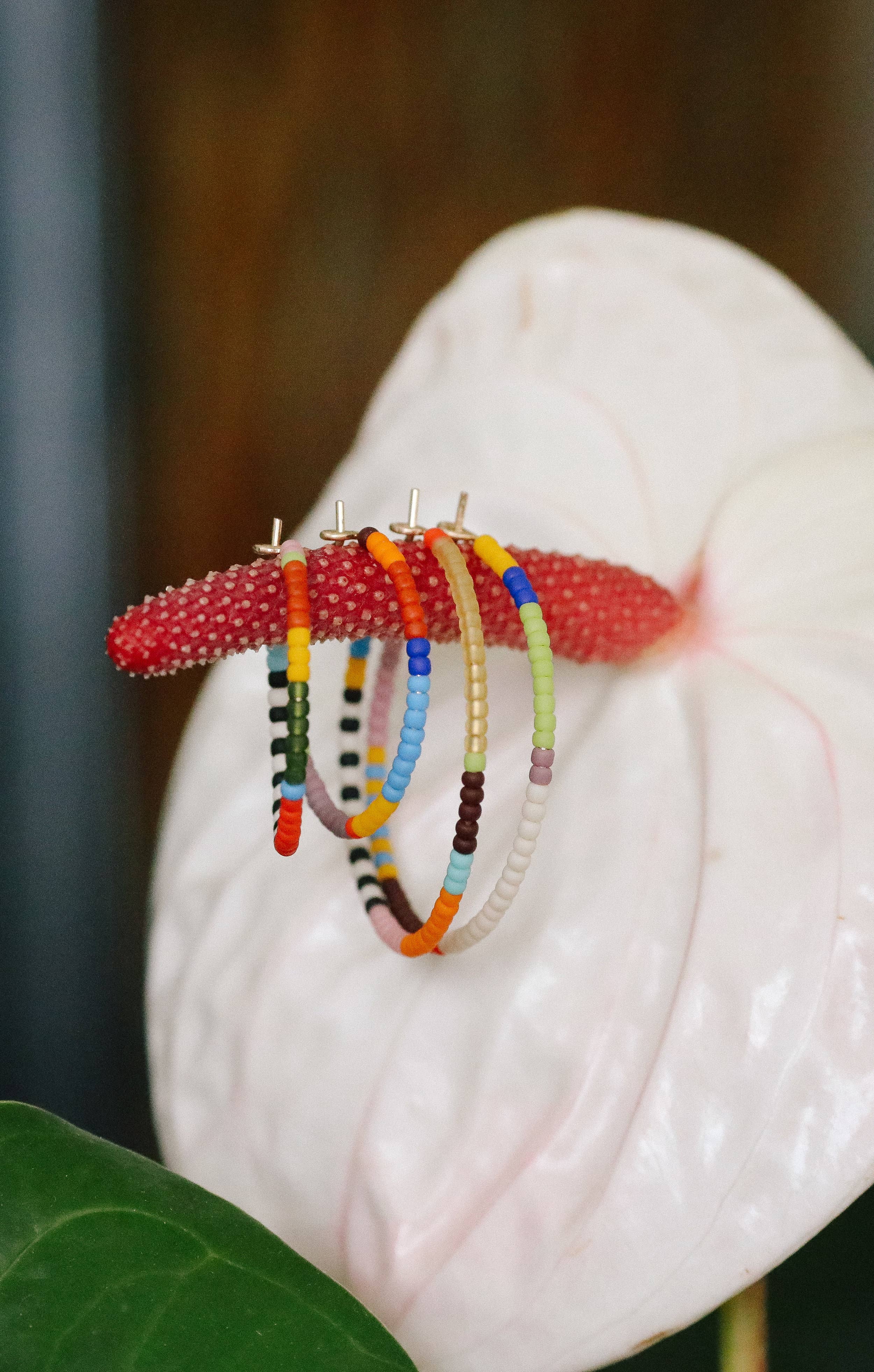Kisiwi Rangi Hoops